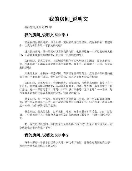 我的房间说明文