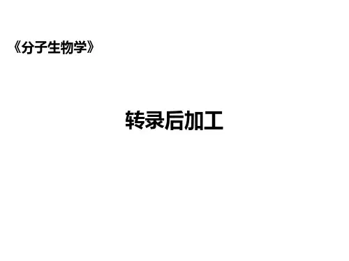 分子生物学-转录后加工