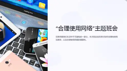“合理使用网络”主题班会