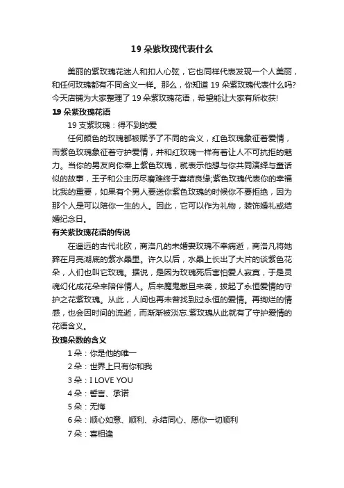 19朵紫玫瑰代表什么