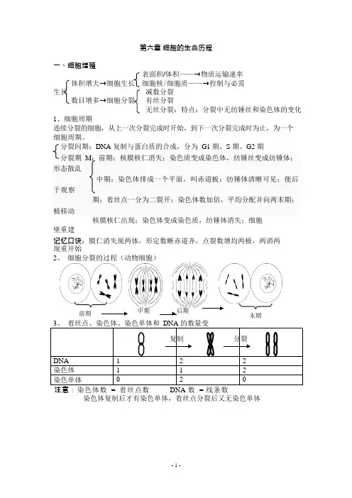 第六章细胞的生命历程知识点详解(可编辑修改word版)