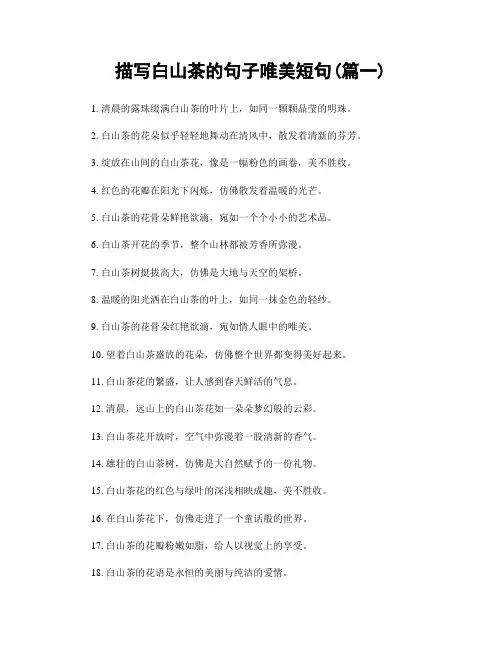描写白山茶的句子唯美短句(精选两篇)