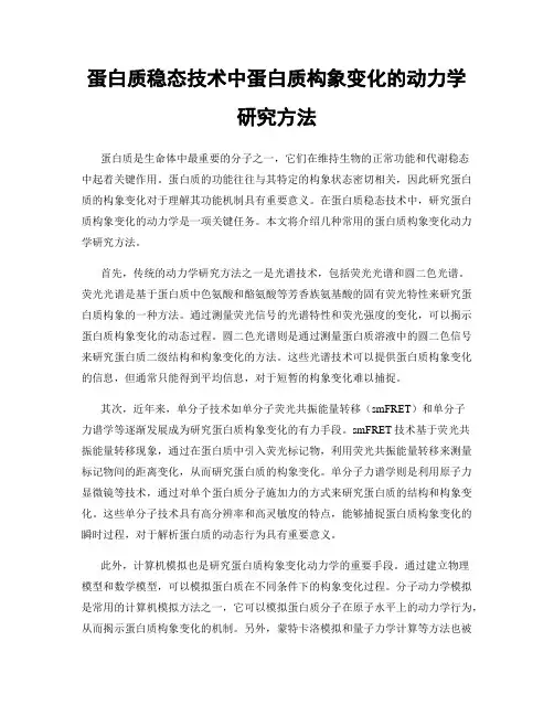 蛋白质稳态技术中蛋白质构象变化的动力学研究方法