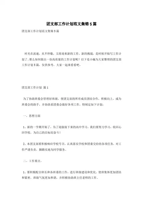团支部工作计划范文集锦5篇