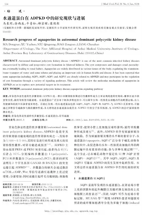 水通道蛋白在ADPKD中的研究现状与进展