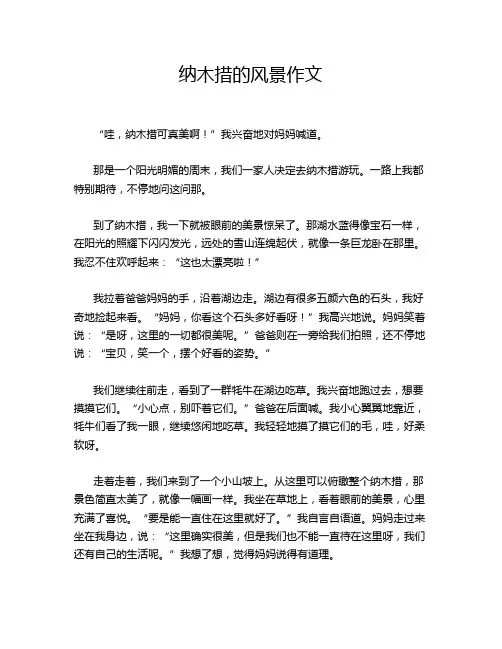 纳木措的风景作文