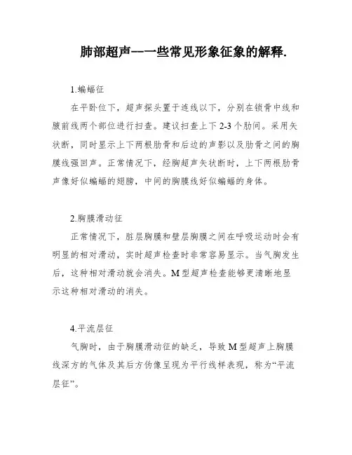 肺部超声--一些常见形象征象的解释