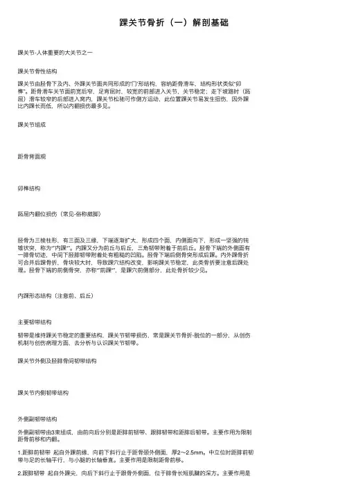 踝关节骨折（一）解剖基础