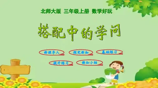 北师大版数学三年级上册搭配中的学问课件