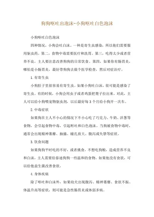 狗狗呕吐出泡沫-小狗呕吐白色泡沫