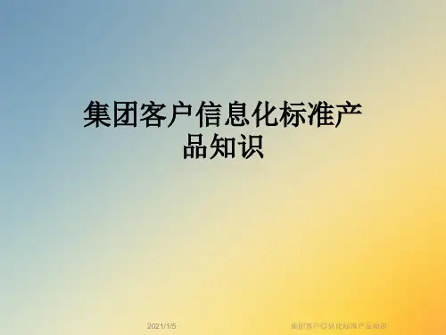 集团客户信息化标准产品知识
