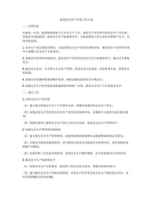 集团安全生产年度工作计划