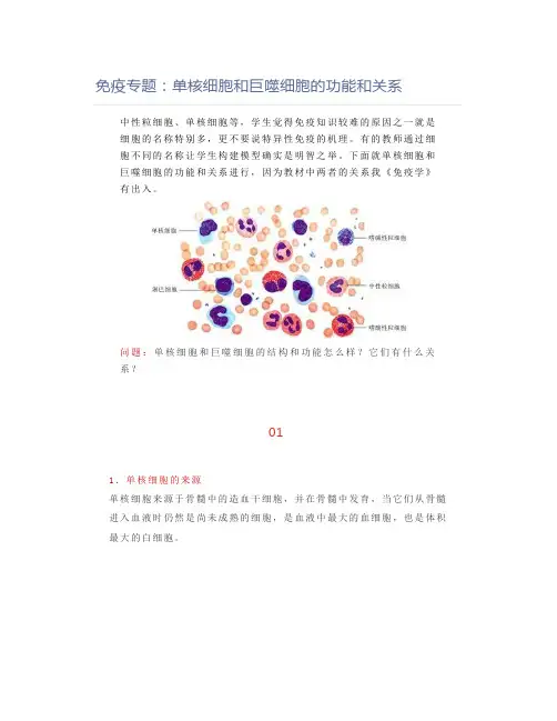 免疫专题：单核细胞和巨噬细胞的功能和关系