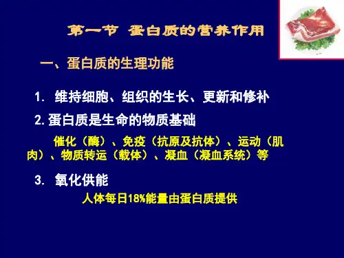 氨基酸代谢 ppt课件