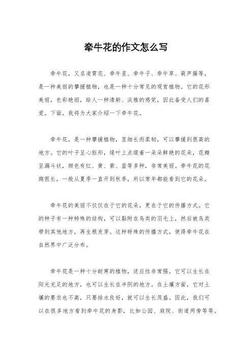 牵牛花的作文怎么写