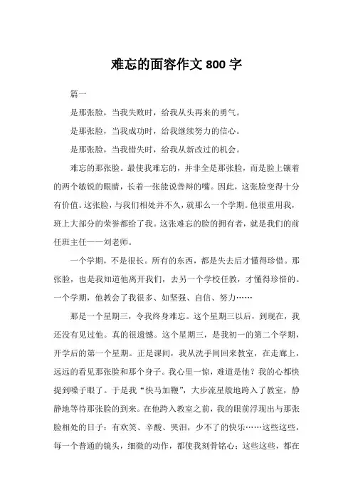 难忘的面容作文800字