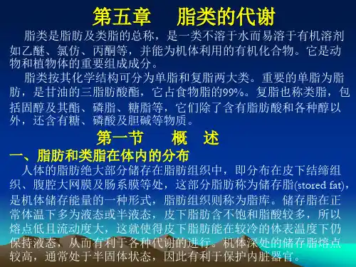 第五章脂类的代谢