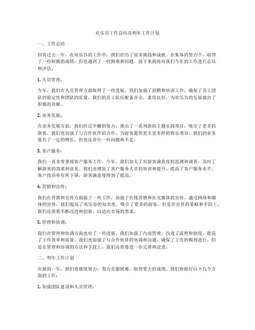 欢乐谷工作总结及明年工作计划