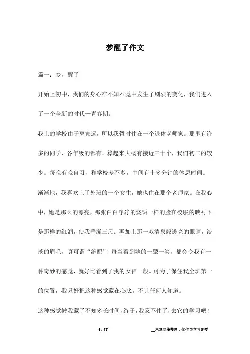 梦醒了作文