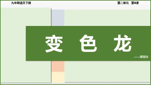 第6课《变色龙》课件(共26张PPT)2022-2023学年统编版语文九年级下册