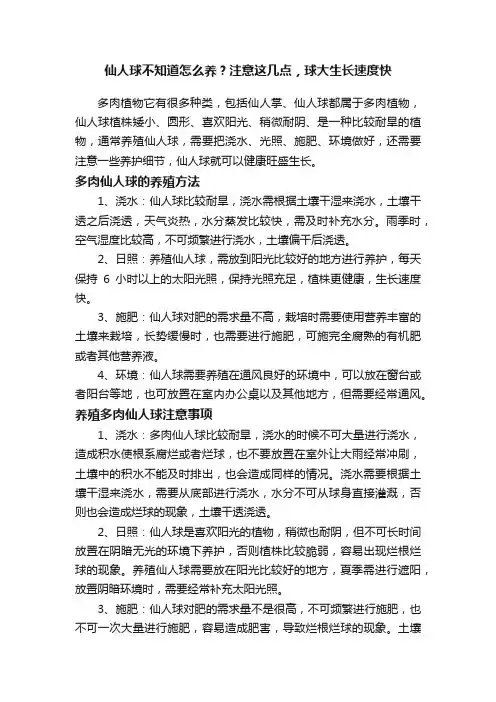 仙人球不知道怎么养？注意这几点，球大生长速度快