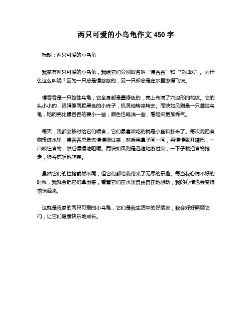 两只可爱的小乌龟作文450字