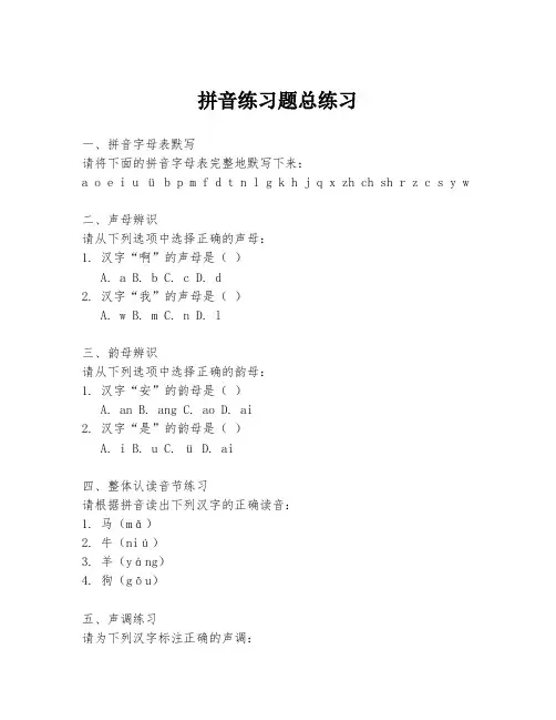 拼音练习题总练习
