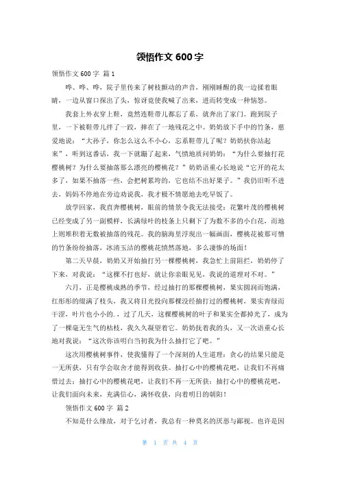 领悟作文600字