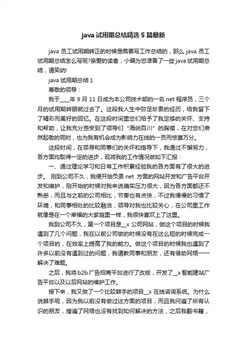 java试用期总结精选5篇最新