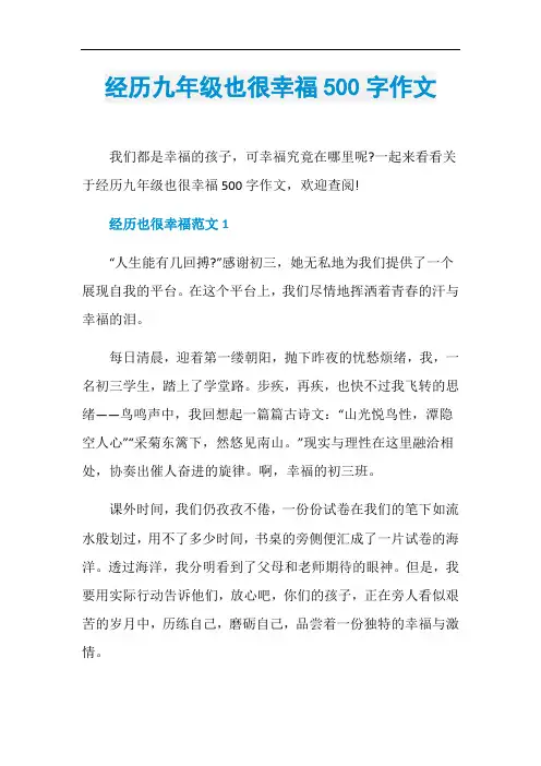 经历九年级也很幸福500字作文