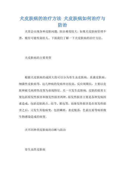 犬皮肤病的治疗方法 犬皮肤病如何治疗与防治