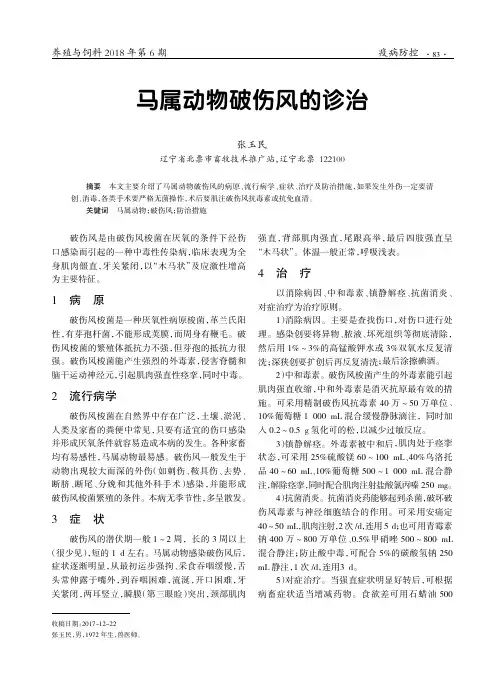 马属动物破伤风的诊治