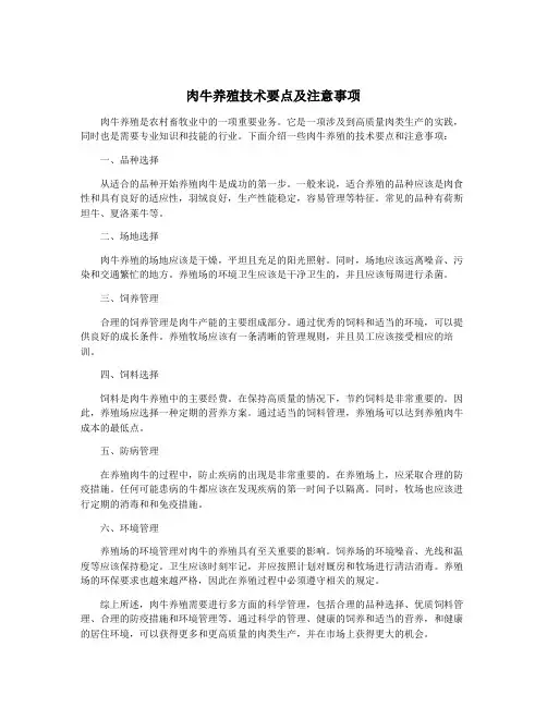 肉牛养殖技术要点及注意事项