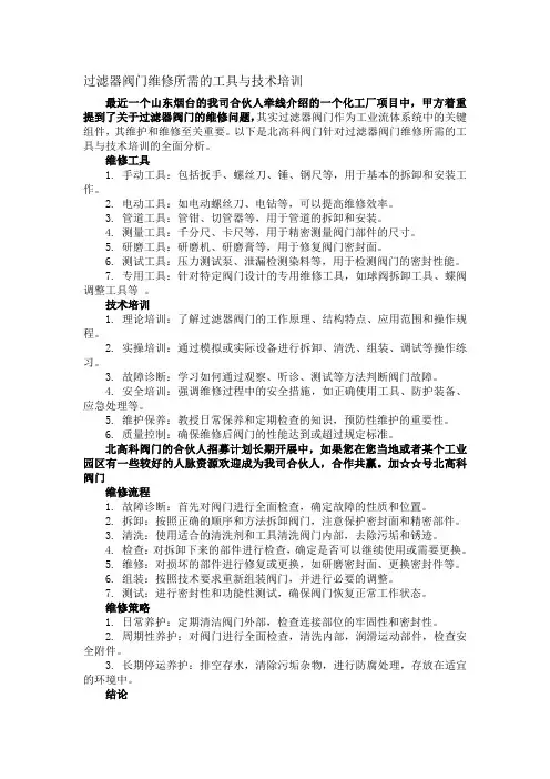 过滤器阀门维修所需的工具与技术培训