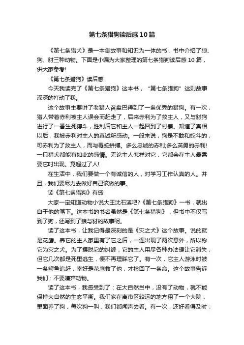 第七条猎狗读后感10篇