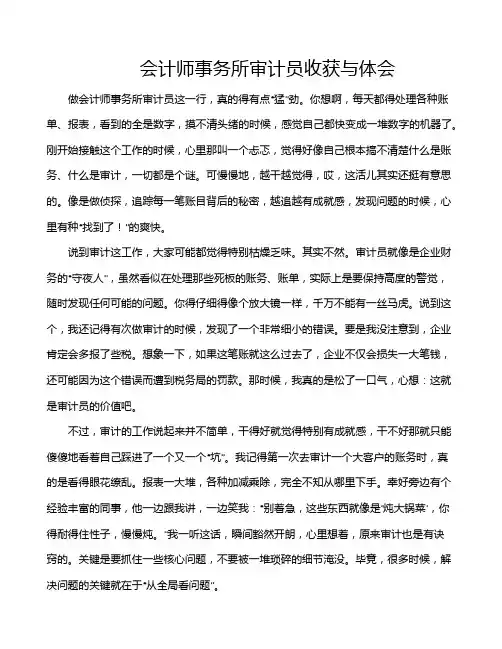 会计师事务所审计员收获与体会