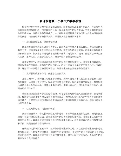 新课程背景下小学作文教学感悟