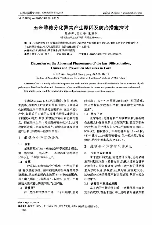 玉米雌穗分化异常产生原因及防治措施探讨
