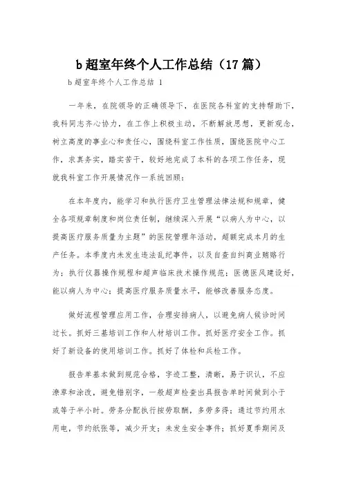 b超室年终个人工作总结(17篇)
