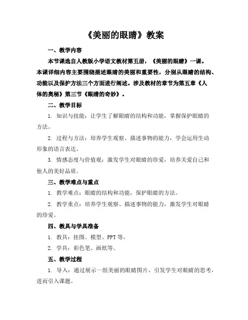 《美丽的眼睛》教案