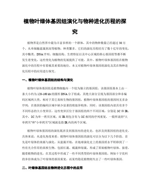 植物叶绿体基因组演化与物种进化历程的探究