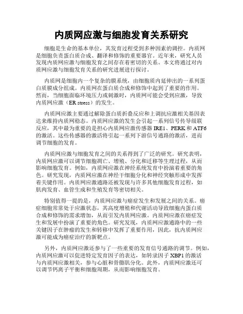 内质网应激与细胞发育关系研究