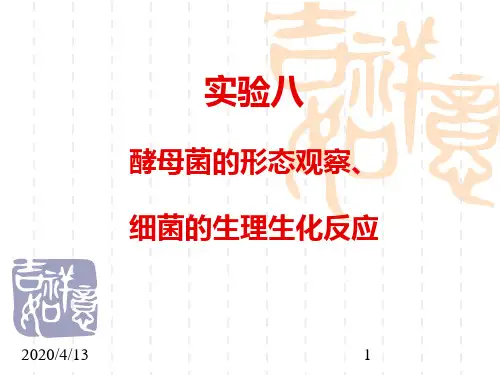 实验八酵母菌形态观察细菌生理生化反应