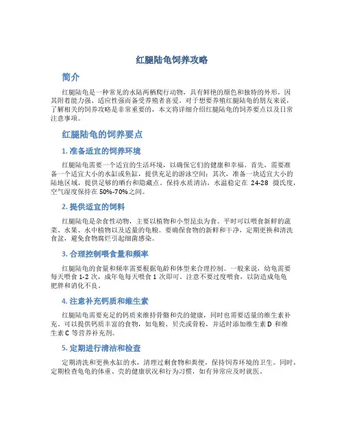 红腿陆龟饲养攻略