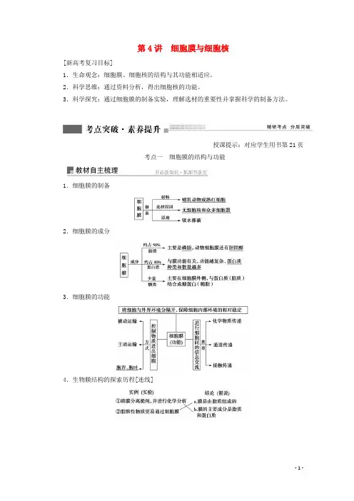 2022届高考生物一轮复习第二单元细胞的结构与物质运输第4讲细胞膜与细胞核学案苏教版