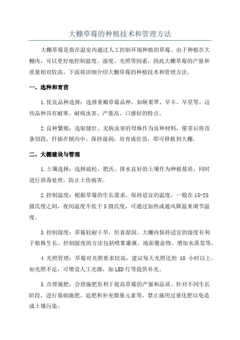大棚草莓的种植技术和管理方法