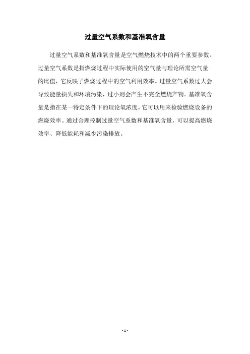 过量空气系数和基准氧含量