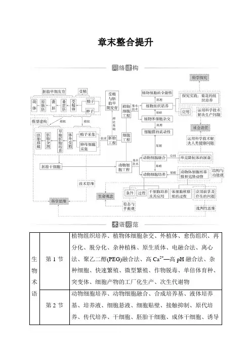 人教版高中生物选择性必修3第2章细胞工程章末整合提升练含答案