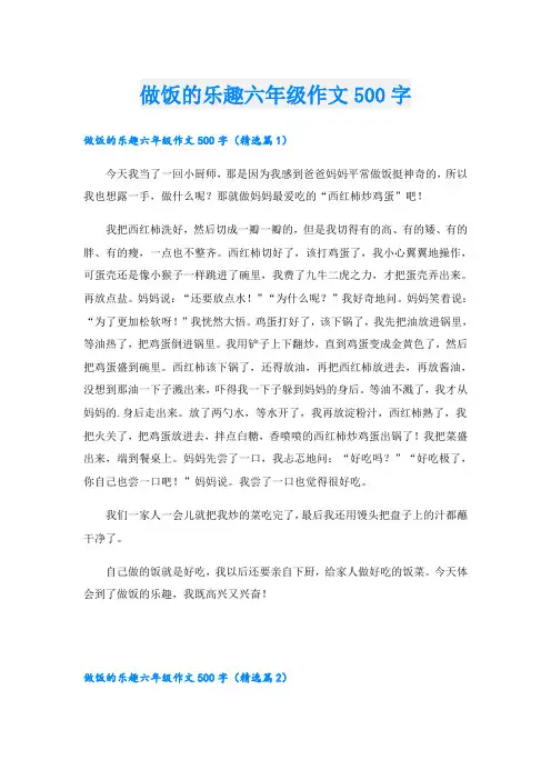 做饭的乐趣六年级作文500字