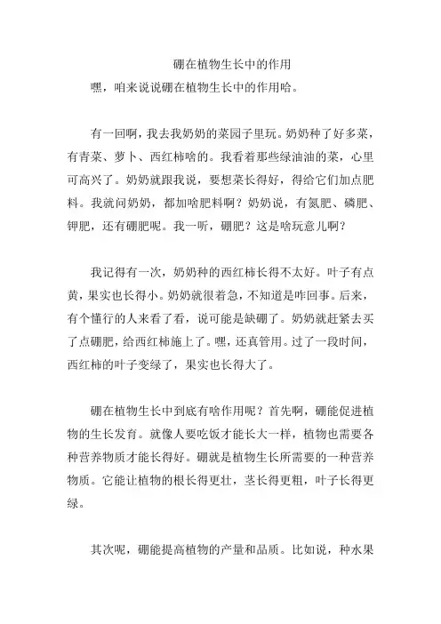 硼在植物生长中的作用